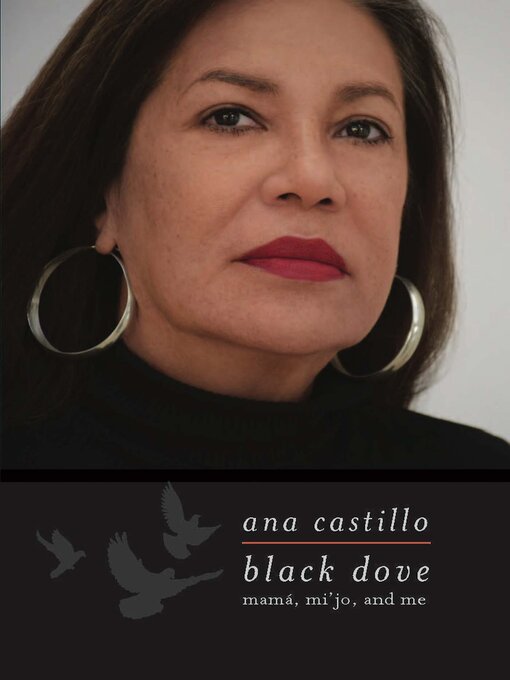 Cover image for Black Dove